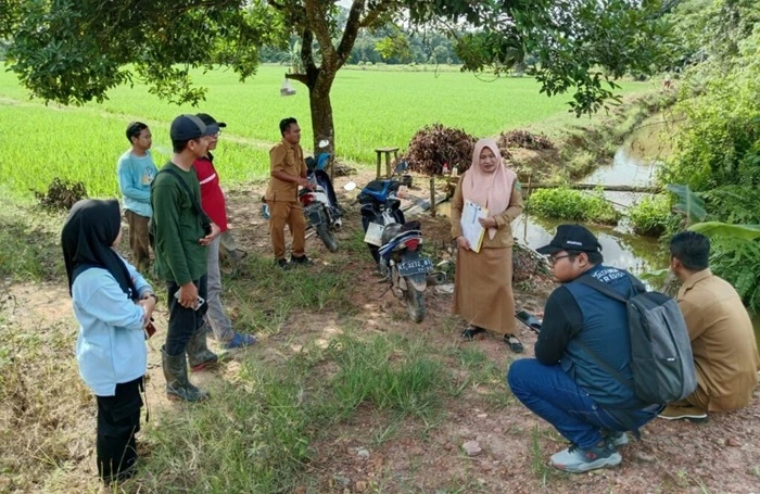 Program Gerdal: Inovasi Gapoktan Desa Bhuana Jaya Tingkatkan Hasil Panen Petani Kukar